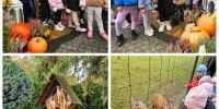 PhotoCollage_1760523104726.jpg