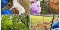 PhotoCollage_1760523133850.jpg