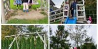 PhotoCollage_1760523150812.jpg